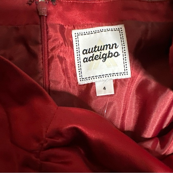 The Autumn Adeigbo Clarette Deep Red Goth Witchy Mesh Corset Dark Academia 4 - Picture 11 of 16